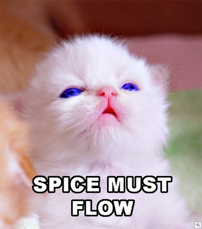 Spice must flow